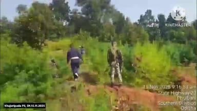 ଫୁଲବାଣୀ ସହର: ଖଜୁରୀପଡା ଥାନା ଅଞ୍ଚଳରେ 85ଏକର ଜମି ରୁ ଗଞ୍ଜେଇ ଗଛ କୁ କାଟି ନଷ୍ଟ କରିଛି ପୁଲିସ