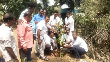 திருப்போரூர்: தண்டலம் ஊராட்சியில் 2000 மரக்கன்றுகள் நடும் விழா