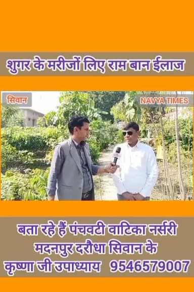 पंचवटी वाटिका नर्सरी मर्दन पुर दरौधा सिवान