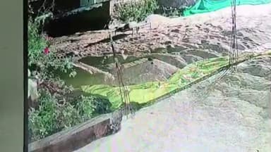 बहादुरपुर: गीलारोपा गांव में युवक ने की धान की चोरी, सीसीटीवी कैमरे में कैद