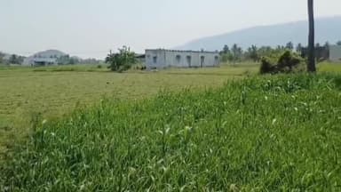 செங்கம்: மேல்நாச்சிப்பட்டு பகுதியில் நாட்டு வெடிகுண்டு வெடித்து சிறுவன் வாயில் படுகாயம்