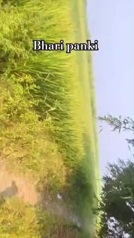 bhari panki jharkhand #Road sagalim to bharri