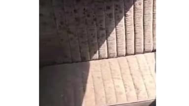 રાજકોટ દક્ષિણ: રાજકોટની સિવિલ હોસ્પિટલ કેમ્પસમાંથી દારૂની 9 બોટલ મળી