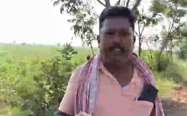 మానవపాడ్: మనోపాడు మండల కేంద్రంలోని మిరప రైతులను ఆదుకోవాలని రైతులు ఆవేదన