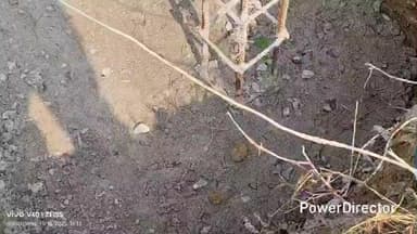 सोनारायठाढ़ी: कुशमाहा के बैजनाथपुर गांव में पेक्स भवन निर्माण में अनियमितता का आरोप, गुणवत्तापूर्ण कार्य की मांग