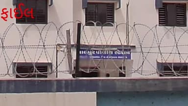 લાલપુર: લાલપુરમાં સાપ કરડી જતા આધેડનું મોત