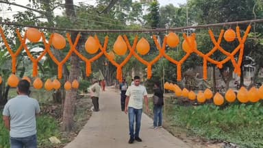 হাঁসখালি: বিধায়ক তহবিলের টাকায় তৈরি হলো ঢালাই রাস্তা উদ্বোধন করলেন বিধায়ক।