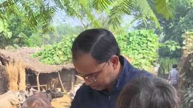 महमूदाबाद: महमूदाबाद क्षेत्र में SIR पुनरीक्षण कार्य तेजी से जारी, बीएलओ घर-घर कर रहे सत्यापन