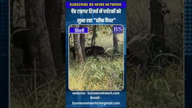 पर्यटकों को लुभा रहा ब्लैक पैंथर #seoninews #blackpanther #penchtigerreserve
