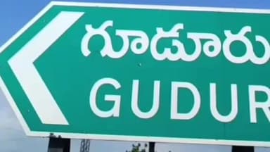 గూడూరులో సెంట్రల్ లైటింగ్ ప్రారంభం