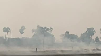 बेलछी: कोरारी खंधा में खेतों में धुआंधार पराली जलाई जा रही है, कृषि विभाग द्वारा जागरूकता अभियान नहीं