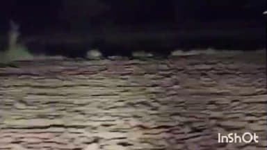 કેશોદ: કેશોદના મઢડા સીમ વિસ્તારમાં ખેડૂતને જોવા મળ્યો માદા દિપડો અને બચ્ચા સહિતનો પરિવાર.ખેડૂત માં ભય નો માહોલ