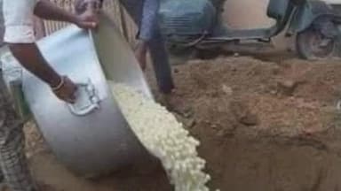 मोकामा: मोकामा में मिठाइयाँ नष्ट होने पर नागरिकों में रोष, संगठन ने वितरण की मांग की