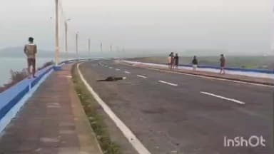 রানিবাঁধ: মুকুটমণিপুরে বাইক নিয়ে স্টান্ট করতে গিয়ে মর্মান্তিক মৃত্যু যুবকের