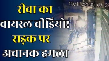 रीवा:सड़क पर मा@रपीट का वीडियो वायरल, आखिर किसके इशारे पर चल रहा है यह गैंग?
#vindhyatimes #rewanews #satnanews #shahdo...
