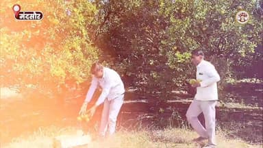 #सफलता_की_कहानी
राष्ट्रीय एकीकृत बागवानी मिशन ने बदली किसान यशवंत पाटीदार की तकदीर
संतरे की बागवानी से कमा रहे सालाना ...