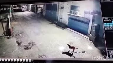 મણિનગર: શહેરમાં નિર્દોષ શ્વાનની હત્યાનો બનાવ,CCTV આવ્યા સામે