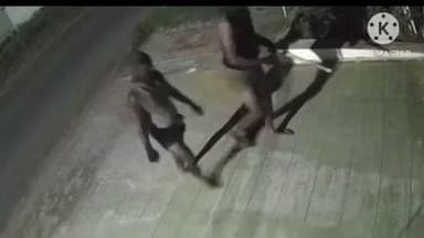 அரவக்குறிச்சி: கூலி நாயக்கனூர் பகுதியில் முகமூடி அணிந்த கொள்ளையர்கள் உருட்டுக்கட்டையுடன் சுற்றித் திரியும் சிசிடிவி காட்சி வைரல்