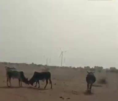 शिव: शिव धारावी खुर्द, नेताड़ो की ढाणी, सीताराम की ढाणी में पिछले कई समय से पानी की भारी किल्लत