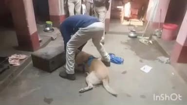 डुमरांव: सोवा गांव में एक ही रात चार घरों में चोरी, डॉग स्क्वायड और एफएसएल टीम ने की जांच