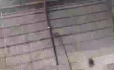 ఉండవెల్లి: ఉండవెల్లి మండల కేంద్రంలోని వరసిద్ధి వినాయాక పత్తి కొనుగోలు కేంద్రంలో మంటలు...తప్పిన ప్రమాదం