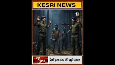 MP के जंगलों का काला सच | बढ़ती अवैध कटाई | वन माफिया एक्सपोज़ | #forest #mafia #mpnews