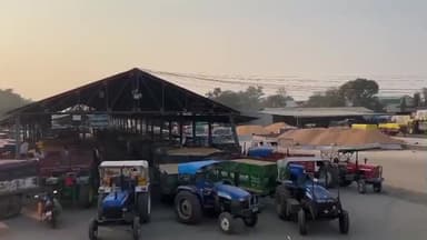 खातेगांव: खातेगांव मंडी में रिकॉर्ड आवक, परिसर भरा, 2800 टन अनाज पहुंचा