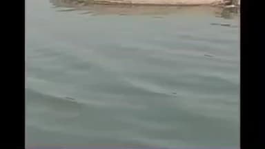 नायगाव-खैरगाव: नायगाव तालुक्यातील बरबडा हद्दीत भर दिवसा गोदावरी नदी पात्रात वाळू उपसा सुरूच व्हिडिओ समाज माध्यमावर व्हायरल