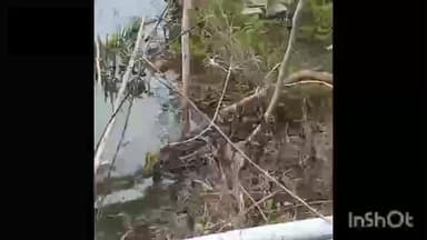 ಬಂಗಾರಪೇಟೆ: ಗರುಡ ಕೆಂಪನಹಳ್ಳಿಯಲ್ಲಿ ಎಂಟು ಅಡಿ ಉದ್ದದ ಹೆಬ್ಬಾವು ಪ್ರತ್ಯಕ್ಷ ಅರಣ್ಯ ಇಲಾಖೆ ಸಿಬ್ಬಂದಿಯಿಂದ ರಕ್ಷಣೆ