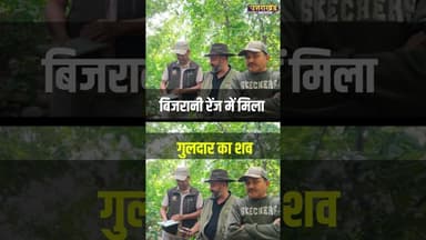 बिजरानी रेंज में मिला गुलदार का शव — मौत की वजह पर रहस्य बरकरार #uttarakhandnews #tiger