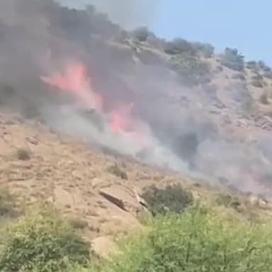 कठूमर: ग्राम पंचायत प्रागपुर के लादियागांव के पहाड़ों में लगी आग से काफी वन संपदा जलकर हुई राख