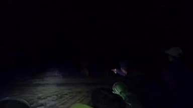 रैनखोल के पहाड़ से सलिहाभांठा गांव पहुंचे हाथियों का दल, किसानों की फसल को किया नुकसान, वन विभाग ने किया सतर्क