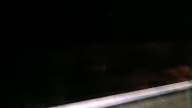 आज सोमवार को अभी रात्रि 10 बजे शिवपुरी से नरवर आते समय रास्ता पार करके बाउंड्री पर दिखा तेदुआ/शेर
#sher