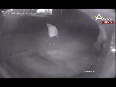 #अमरिया थाना क्षेत्र में नेशनल हाइवे किनारे बड़ी चोरी की वारदात पुलिस गश्त पर उठे सवाल उत्तर प्रदेश के पीलीभीत जिले के अ...