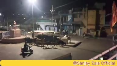 ધંધુકા: *સાંજના સમયે ધંધુકાની શાકમાર્કેટ ખાતે આખલાએ તરખાટ મચાવ્યો.*
#JanSamasya #જનસમસ્યા