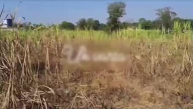 डोईवाला: फतेहपुर टांडा में भू-माफियाओं ने तोड़ी सिंचाई नहर, किसानों की सूखी गन्ना फसल प्रभावित