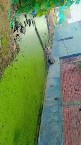 अलीनगर बिछड़ी वार्ड नंबर 5 मुगलसराय जिला चंदौली, साहिल भाई