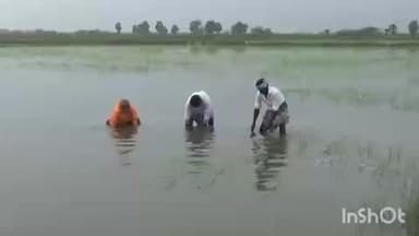 திருத்துறைப்பூண்டி: எழிலூர் உள்ளிட்ட சுற்று வட்டார பகுதிகளில் இரண்டு தினங்களாக பெய்து வரும் கனமழை காரணமாக ஆயிரம் ஏக்கர் நெற்பயிர் தண்ணீரில் மூழ்கி சேதம்