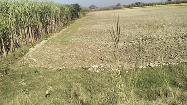 125 बीघा खेत बिकाऊ है जिस भाई को लेना मुझसे संपर्क करें 8090291079