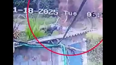 മാനന്തവാടി: പനവല്ലിയിൽ സ്കൂട്ടർ യാത്രികനു നേരെ കാട്ടാനയുടെ ആക്രമണം