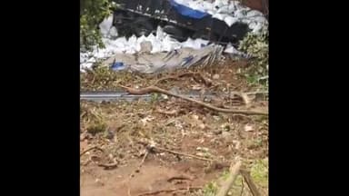 വെെത്തിരി: വയനാട് ചുരത്തിൽ ലോഡുമായി വന്ന ലോറി കൊക്കയിലേക്ക് മറിഞ്ഞ് അപകടം