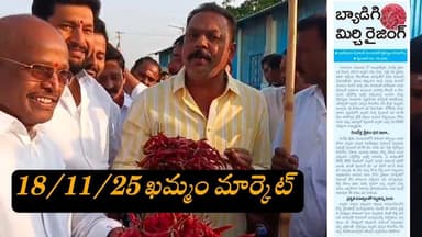 18-11-25 ఈరోజు #ఖమ్మం మార్కెట్ యార్డు ధరలు Today khammam mirchi market yard prices खम्मम बाजार यार्ड