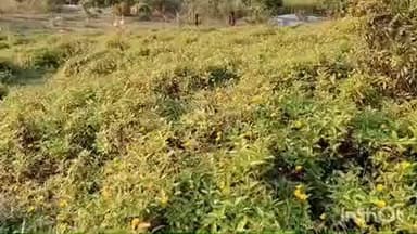 ଜି ଉଦୟଗିରି: ଜି ଉଦୟଗିରି ରେ ପାରଦ ତଳ ମୁହଁ।,ତାପମାତ୍ରା 5.6 ଡିଗ୍ରୀ ରହିଥିବାର ପାଣିପାଗ ବିଭାଗ ପକ୍ଷରୁ ସୂଚନା ଦିଆଯାଇଛି