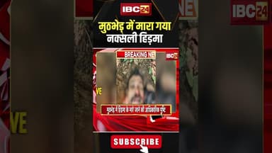 मुठभेड़ में मारा गया नक्सली हिड़मा #cgnews #naxalencounter #naxalihidma #naxalites