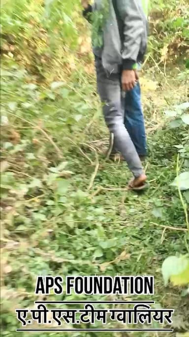 ये जिसने भी किया है बहुत गलत किया है गाये माता के बच्चे के साथ..!
Respect girls help poor help animals
#apsgurjar #help #support