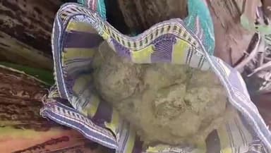 লালগোলা: লালগোলায় ফের বড়সড় সাফল্য: তিনটি জায়গা থেকে উদ্ধার ২৫টি সকেট বোমা, তৎপর পুলিশ প্রশাসন