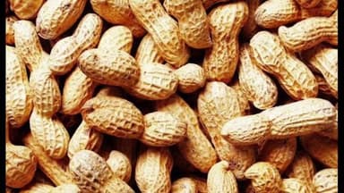 લાલપુર: લાલપુર માર્કેટિંગ યાર્ડના આ મુજબ રહ્યા હતા ભાવ