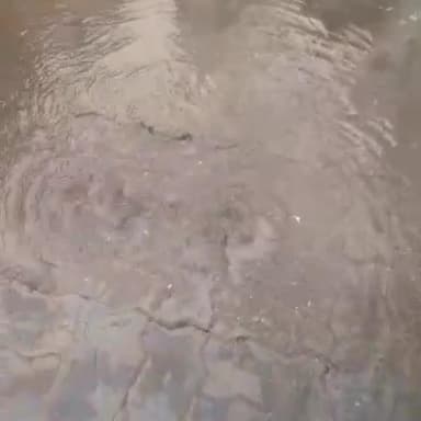 રાજકોટ પૂર્વ: અંબાજી કડવા પ્લોટમાં di પાઇપલાઇન તૂટી જતા હજારો લિટર પાણીનો વેડફાટ,રહેવાસીઓ પરેશાન