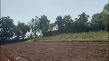 તાલોદ: કમોસમી માવઠાની નિરાશા ખંખેરી તલોદ પંથકના ખેડૂતોએ નવી આશા સાથે શિયાળુ વાવેતરનો કર્યો પ્રારંભ