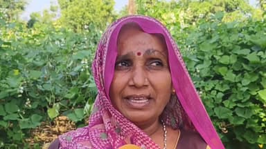 હિંમતનગર: જિલ્લામાં કમોસમી વરસાદ બાદ શાકભાજીના પાકમાં ઇયળો પડતા થયેલ નુકસાની બાબતે મહિલા ખેડૂતે પ્રતિક્રિયા આપી